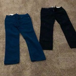 Loft Modern Straight pants